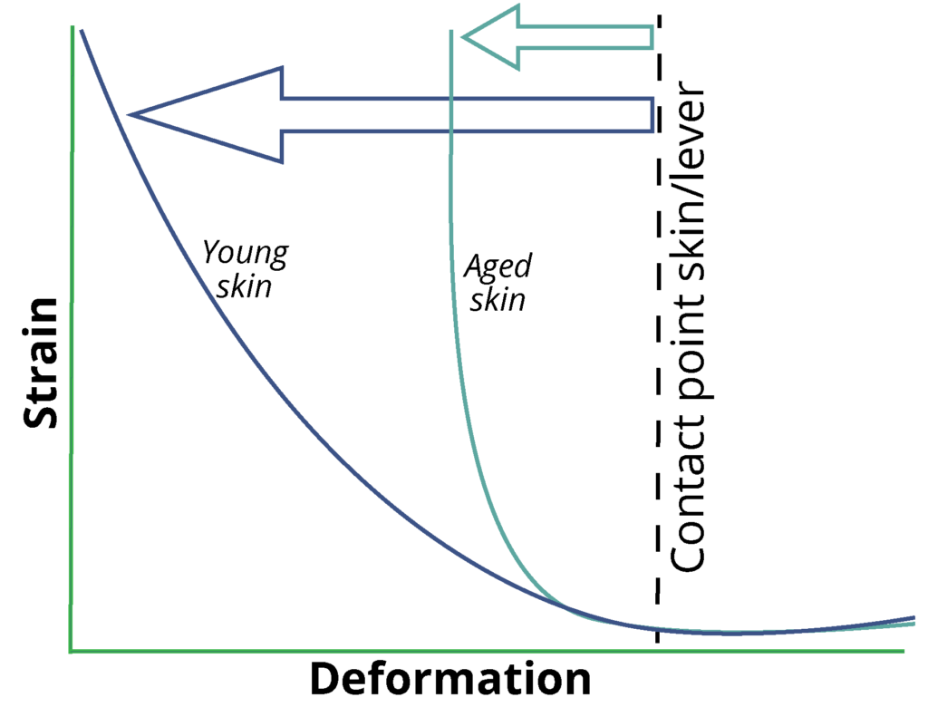 The effect of ageing on the mechanical properties of the silk of